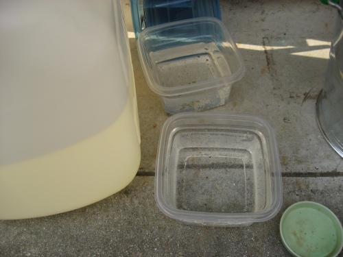 5ページ目の 熱帯魚 山都屋にゃん太郎のノート 楽天ブログ 5ページ目の 熱帯魚 山都屋にゃん太郎のノート 楽天ブログ
