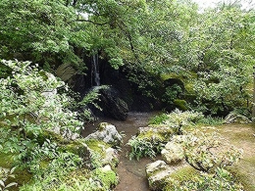 P1000326.jpg