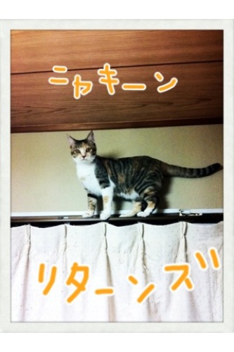 201203271122_9046_iphone.jpg