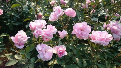 CYMERA_20150722_095355.jpg