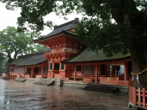 IMG_2887 (640x480).jpg