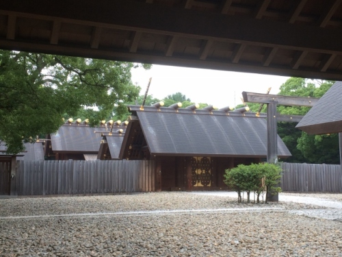 IMG_2440 (640x480).jpg