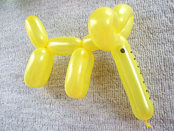 20130217m.jpg