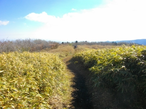 箱根外輪山明星ヶ岳 (3) (500x375).jpg