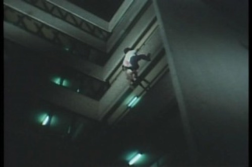 PDVD_009.jpg