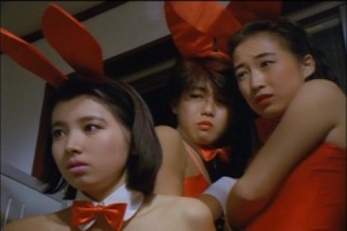 PDVD_188.jpg