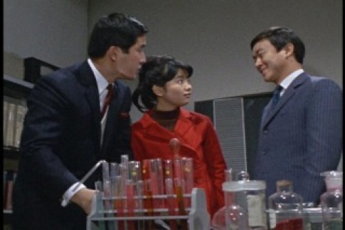 PDVD_014.jpg