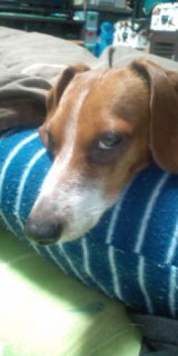 20120201231117.jpg