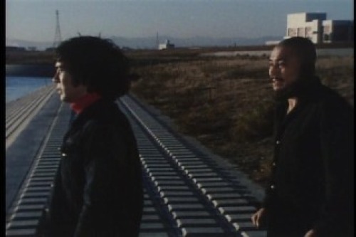 PDVD_035.jpg