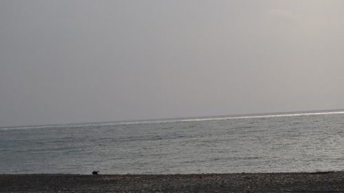 0304海辺2.JPG