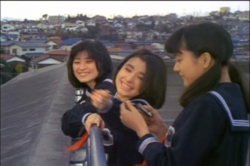 PDVD_256.jpg