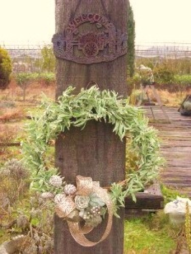 DSCN1147 (300x225).jpg