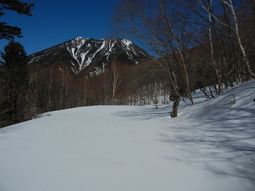 20140211太郎山.jpg