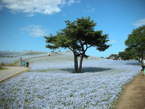 DSCN4201.JPG
