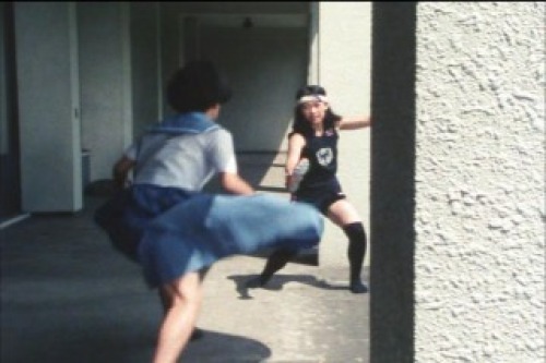 PDVD_040.jpg