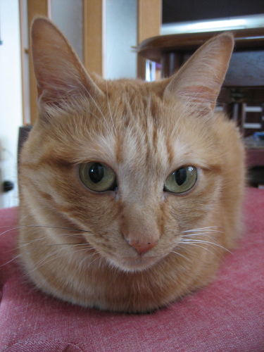 Nov. 12, 2015(5).JPG