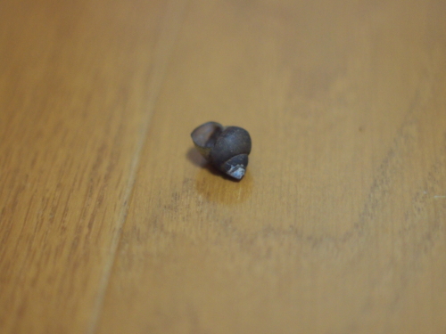 PA230639.JPG