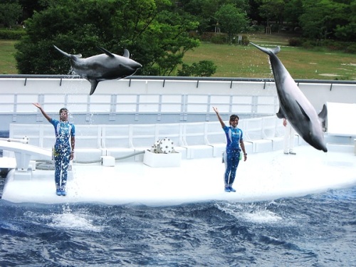 水族館9.jpg