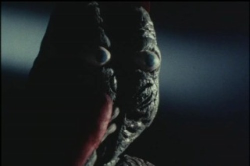 PDVD_012.jpg