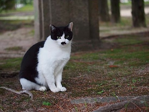 th_PA202798.jpg