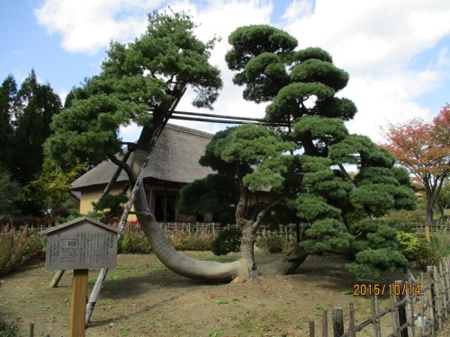 みちのく杜の湖畔公園