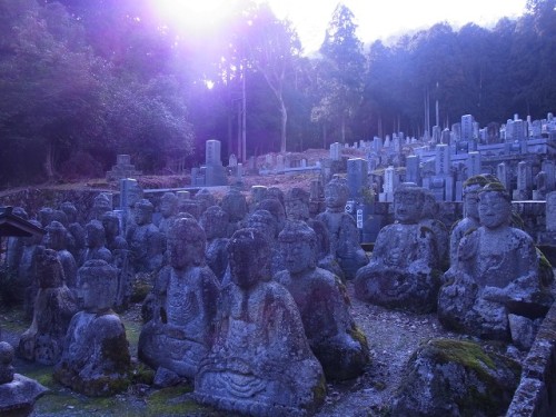 鵜川・白鬚神社 (46)0176.jpg