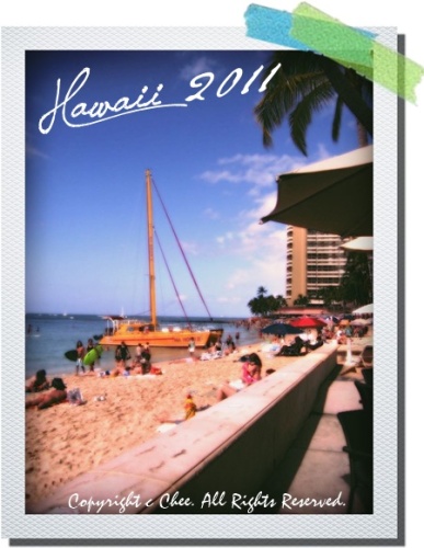 beach_hawaii2011.jpg
