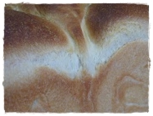 pan03244.jpg