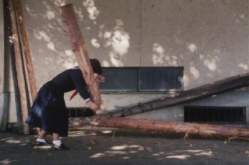 PDVD_016.jpg