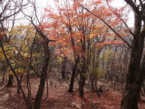山頂２.jpg