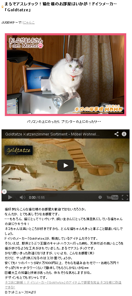 マンチカンももちゃん 本日の猫事情,まるでアスレチック！猫仕様のお部屋はいかが！ドイツメーカー「Goldtatze」