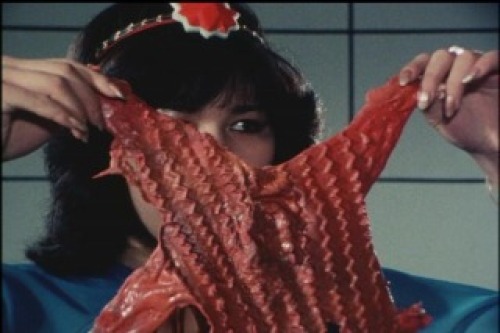 PDVD_018.jpg