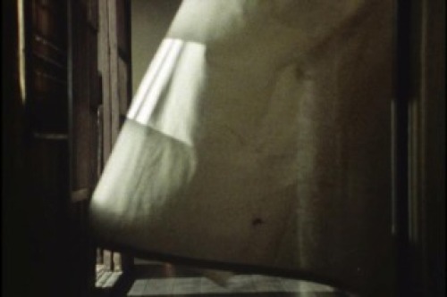 PDVD_063.jpg
