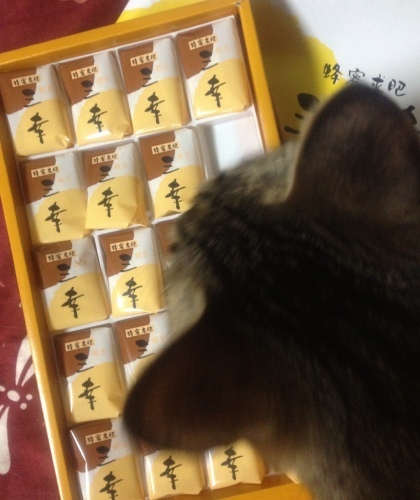 ５月６日　蜂蜜求肥　三幸