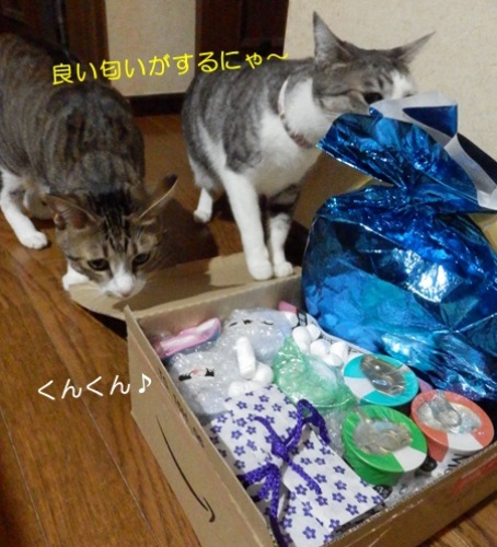 20151001_6.jpg