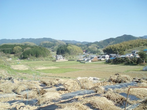 2飛鳥らしい風景1.jpg