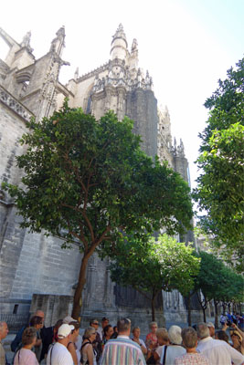 スペイン750.jpg