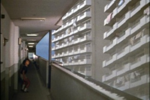 PDVD_014.jpg