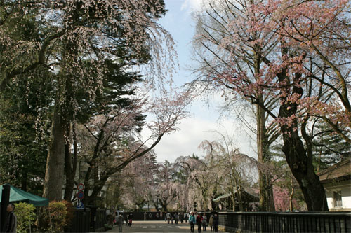 角館35.jpg