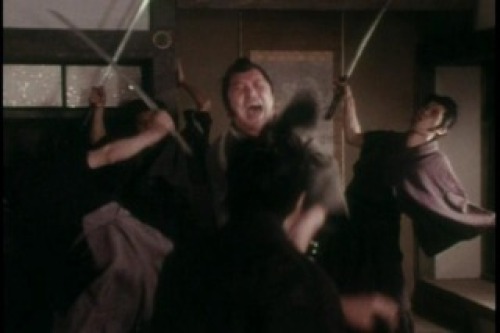 PDVD_030.jpg