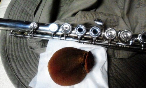 NCM_1099.JPG