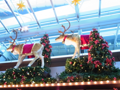 20131221六ヒル4 クリスマスマーケット.jpg