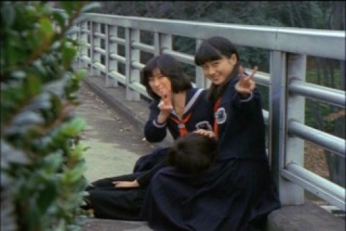 PDVD_177.jpg