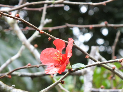 DSCF2556.JPG