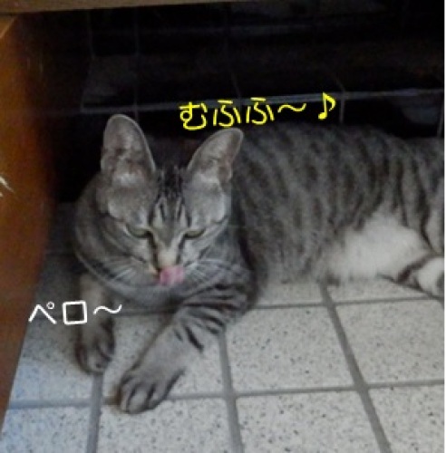 20140807_6.jpg