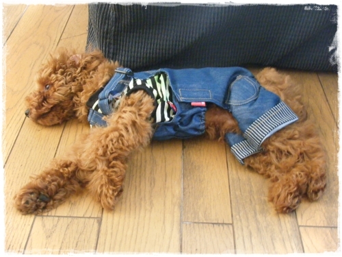 DSCF4198.JPG