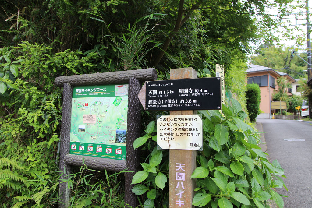 Kamakura2017061111.JPG