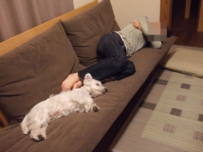 20100522.jpg