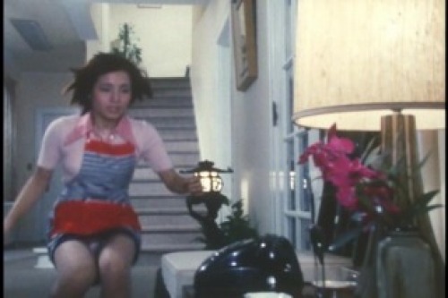 PDVD_013.jpg
