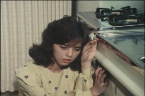 PDVD_066.jpg